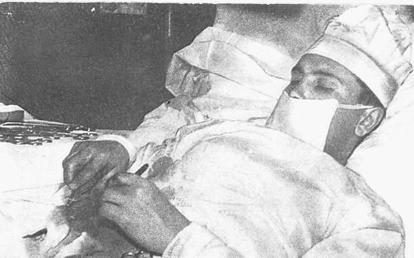 истории, герои