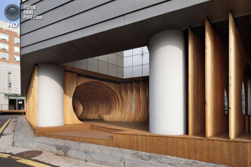 студент, отдых