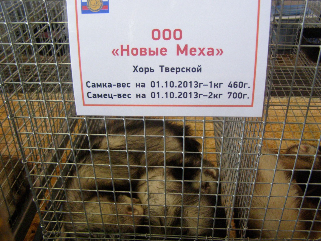 Прогулки по Москве. Сельскохозяйственная выставка. Прогулки по Москве. Сельскохозяйственная выставка.
