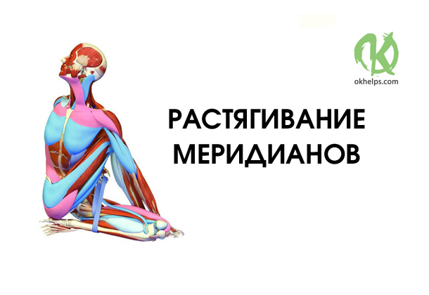 6 упражнений для оздоровления всего организма