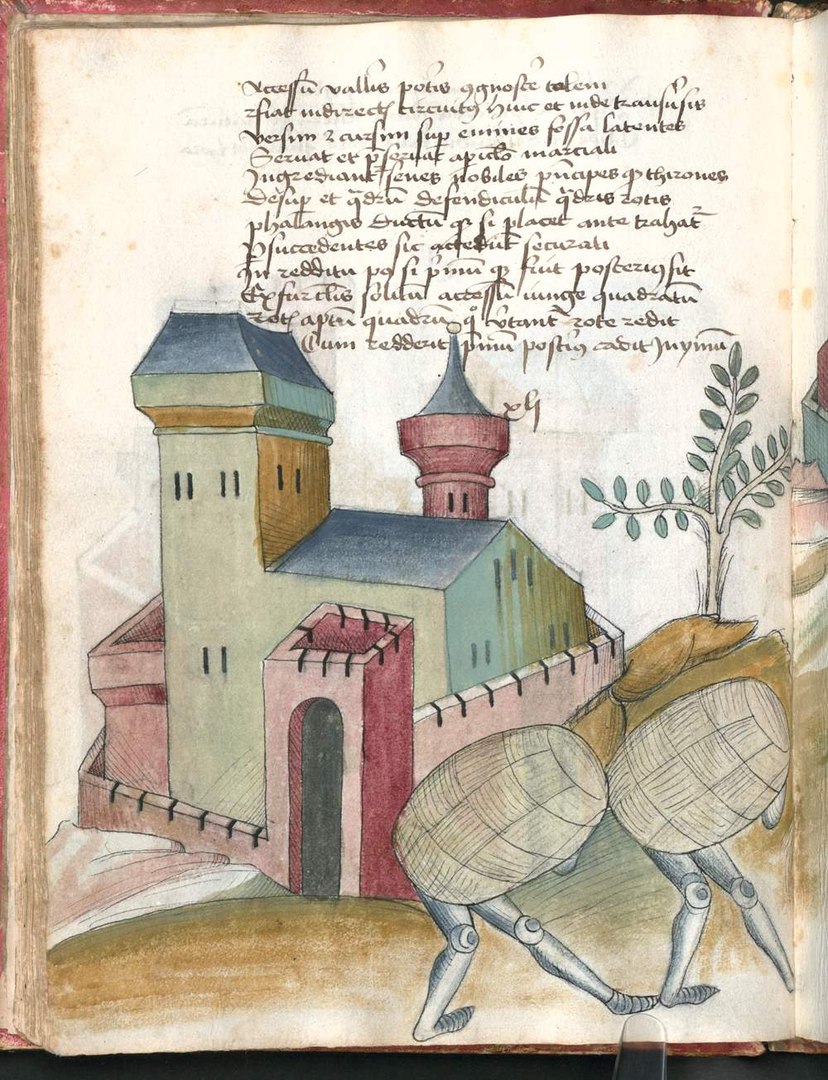 Книга Кайзера "Bellifortis" Книга Кайзера "Bellifortis"