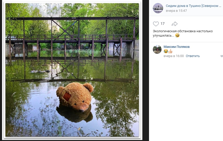 Жители улицы Василия Петушкова сфотографировали плывущего по Сходне медведя
