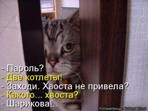 �����������(�������� � ���������)