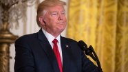 Экономические законы Трампа: Америка станет снова великой?