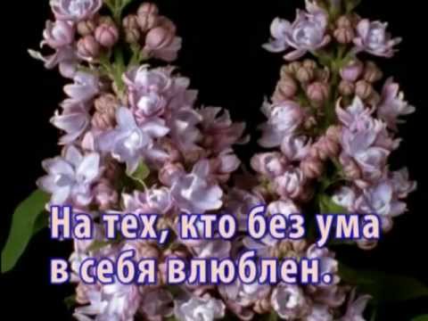 Не тратьте жизнь на тех, кто вас не ценит