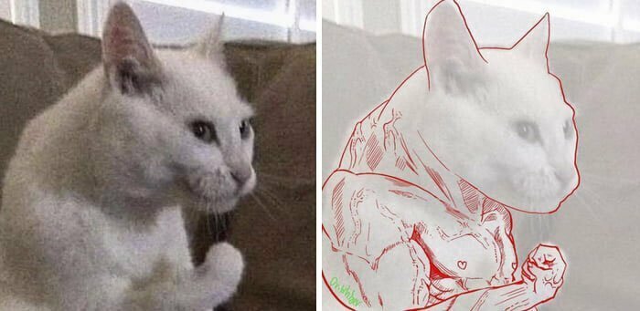 Звери, чьи габариты показались очень уж массивными Звери, чьи габариты показались очень уж массивными
(10 фото)