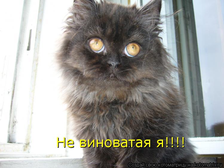 Открытки я не виновата 98