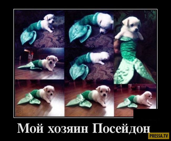 Демотиваторы воскресного дня Демотиваторы воскресного дня