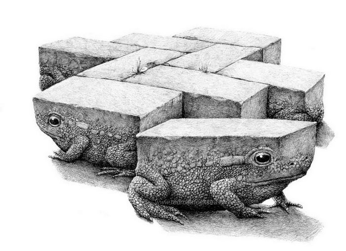 Странные и жутковатые рисунки Redmer Hoekstra Странные и жутковатые рисунки Redmer Hoekstra