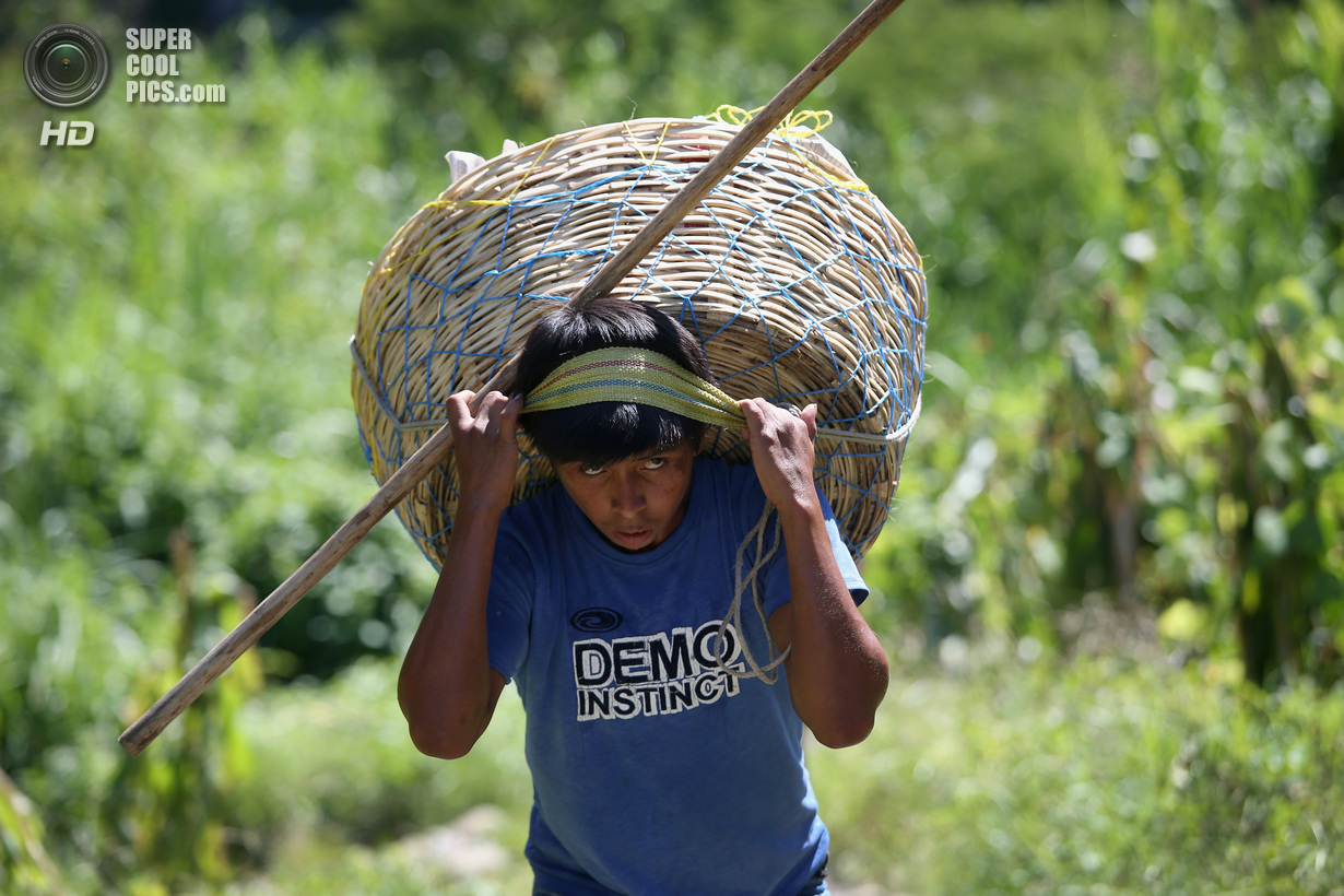 Мексика. Талисман, Чьяпас. 1 августа. Гватемальский нелегальный торговец несёт продукты на продажу. (John Moore/Getty Images)