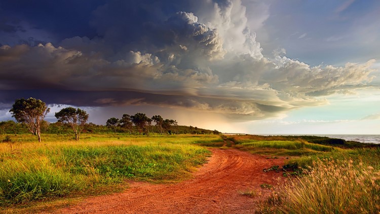 Природа России 5 Природа России 5