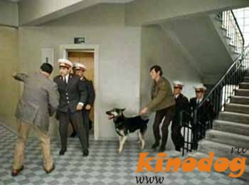 Интересные факты о фильме "Иван Васильевич меняет профессию"