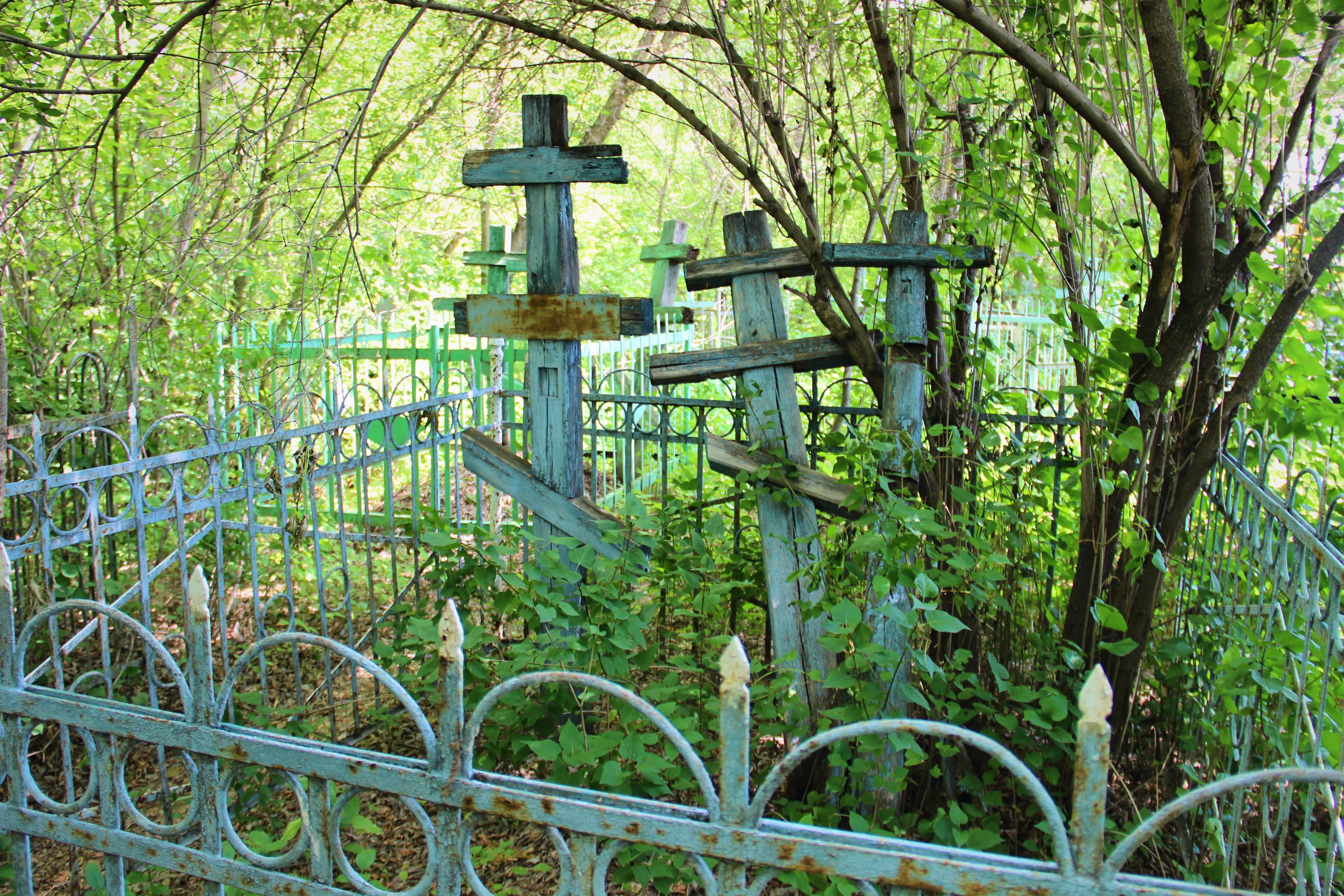 Старое кладбище, деревня старый Погост