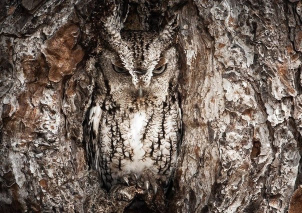 Коллекция позитивных фотографий №12 Коллекция позитивных фотографий №12