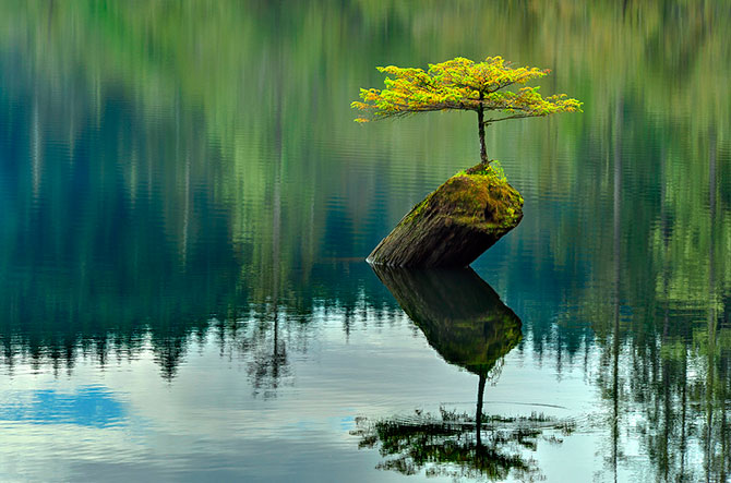 60 ������ ���������� ���� �� ������ ������� TwistedSifter