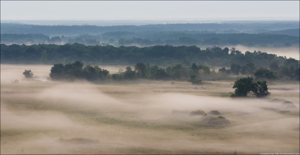 fog14 Королевство туманов