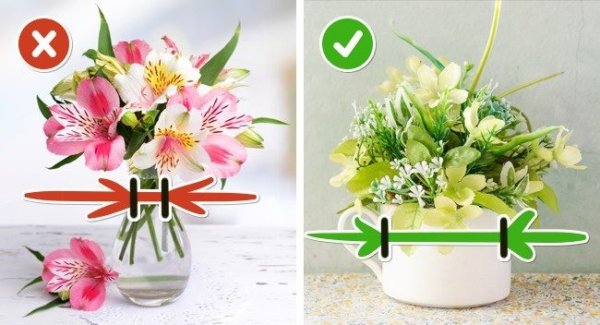 Как продлить жизнь срезанным цветам