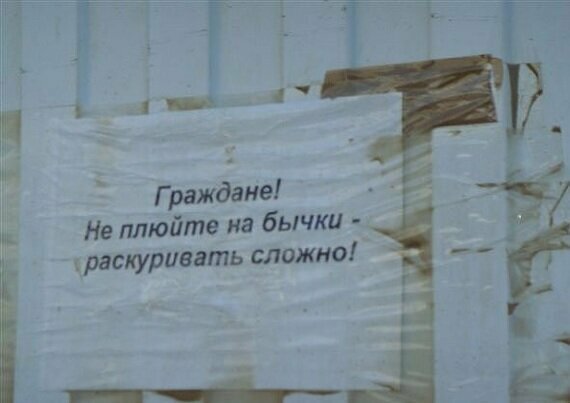 Советчиками не рождаются - ими становятся Советчиками не рождаются - ими становятся
(19 фото)