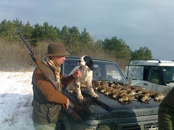 original.jpg#20344199453