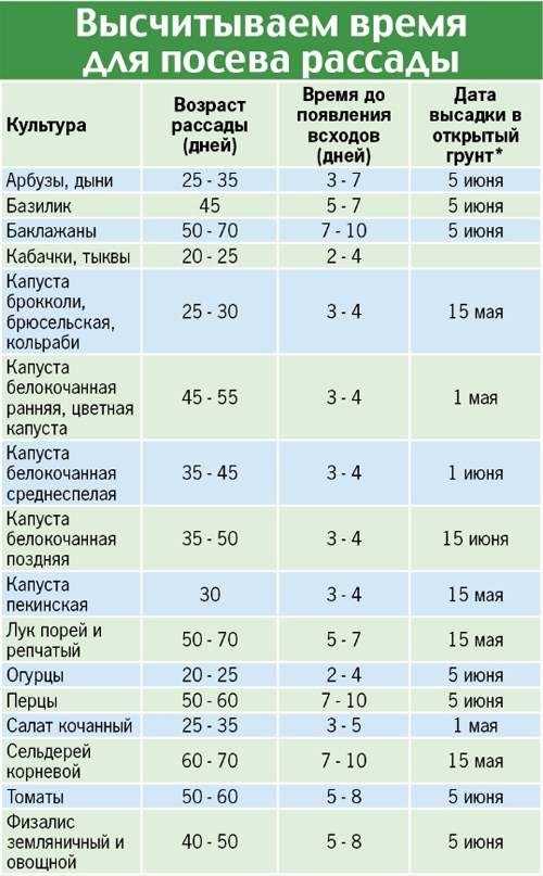 *Для средней полосы России.