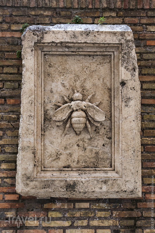 ���, �������. ������ / ���� �� ��������