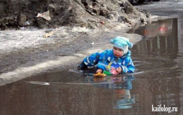 Чудо в перьях (45 фото) Чудо в перьях (45 фото)