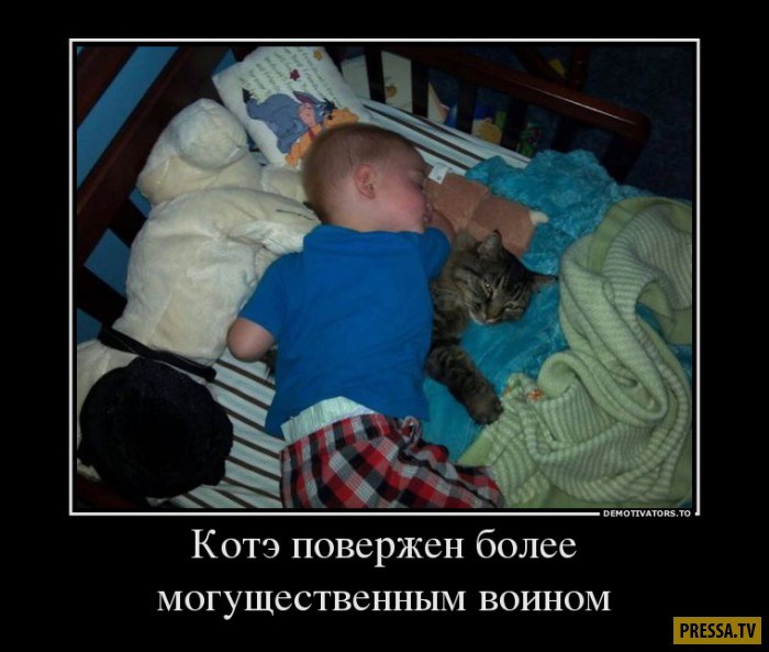 Демотиваторы воскресного дня Демотиваторы воскресного дня