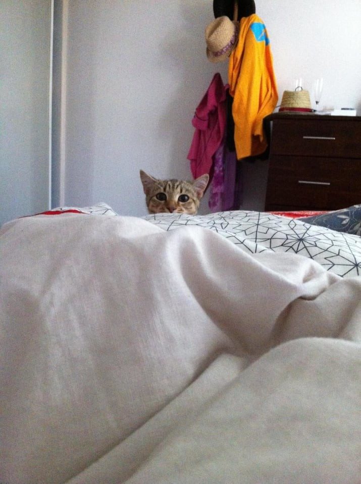 Вот кто в доме хозяин! Вот кто в доме хозяин!