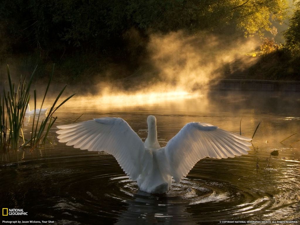    National Geographic