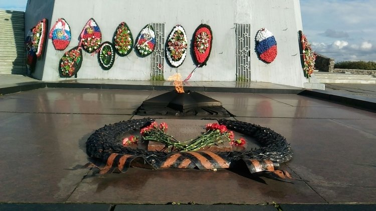 Родители школьников Воронежской области шокированы поступком детей у Вечного огня