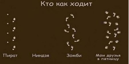 Прикольные цитаты в картинках. Правдивы до безобразия.