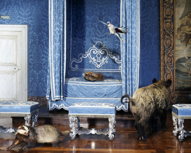 http://www.karenknorr.com/wp-content/uploads//2009/03/TheQueens-Bedchamber.jpg