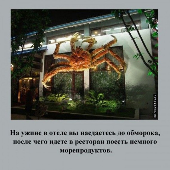 Признаки русского туриста Признаки русского туриста