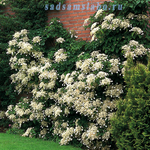 ����� ��� ���� � ����� �������� ������������� ������