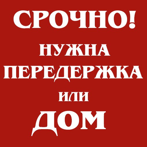 Нужна срочная помощь!!! Нужна срочная помощь!!!