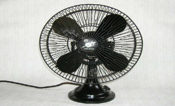 fan-610x370