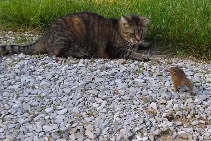 ����� � ����� � ���������� �������� ��������