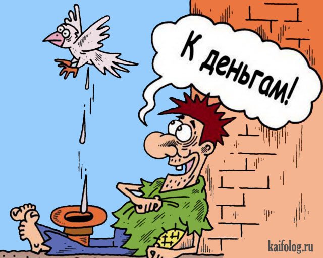 Картинки и карикатуры года (50 картинок) Картинки и карикатуры года (50 картинок)