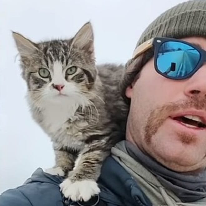 Котенок с хозяином Испуганный котенок