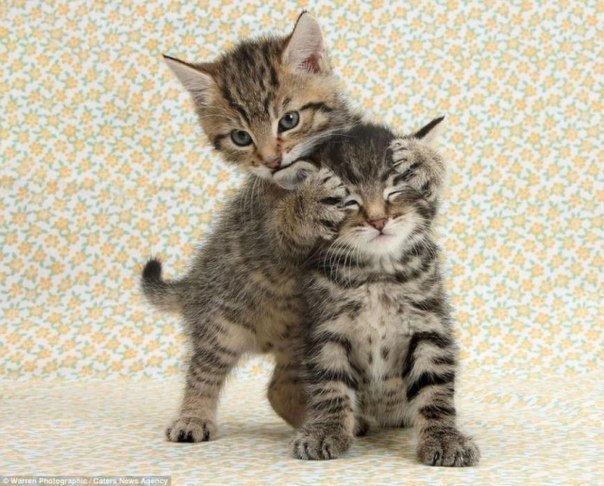 Коллекция позитивных фотографий №12 Коллекция позитивных фотографий №12