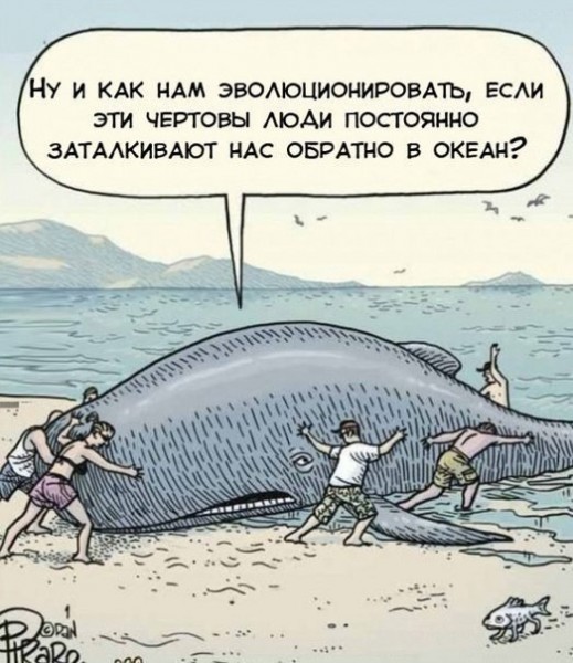 Карикатуры