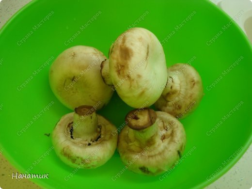  !            Lyumila  ,      <a href=