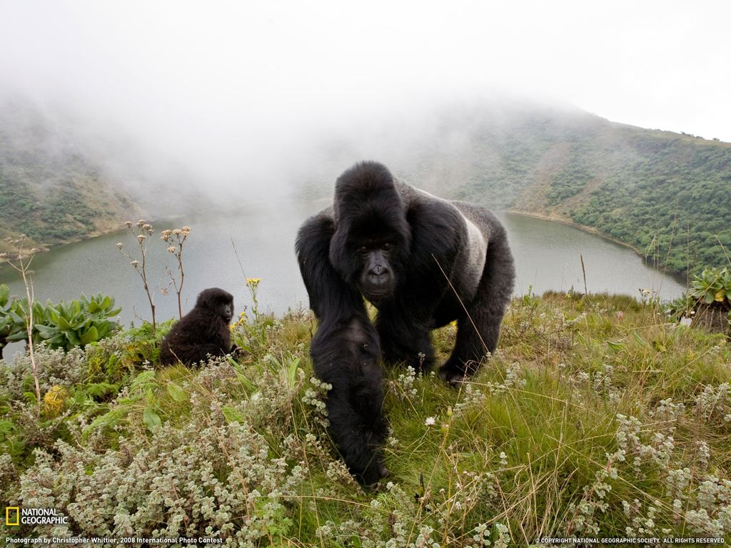    National Geographic