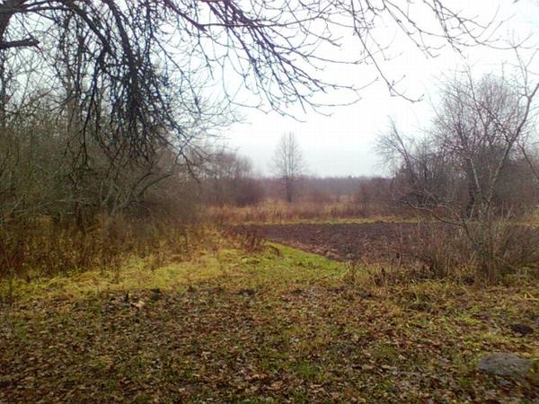 Грядки-короба на моём огороде Грядки-короба на моём огороде