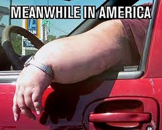 И ЭТИ ЛЮДИ НАМ ЕЩЕ ЧТО-ТО СМЕЮТ УКАЗЫВАТЬ. Тем временем в Америке