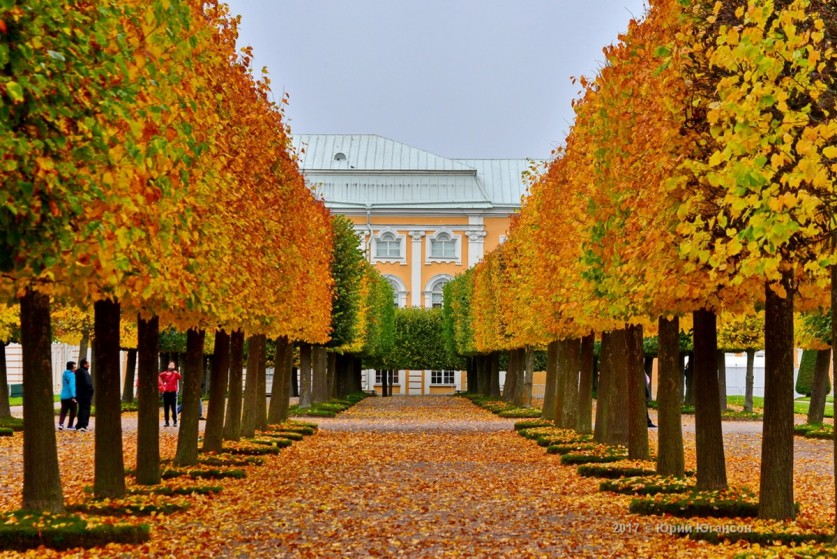 Осенний Петергоф