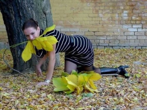 Что здесь происходит?! (29 фото) Что здесь происходит?! (29 фото)