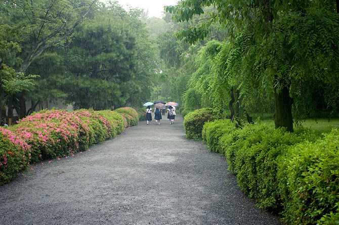 Сады замка Нидзё