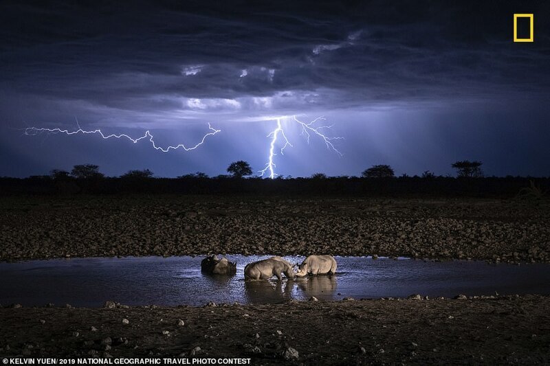 1. Носороги на водопое. Фотограф - Кельвин Юэн National Geographic Travel, national geographic, конкурс фотографии, красота, номинанты, природа, профессиональные фотографии, фотоконкурс