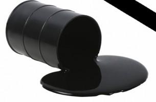 Нефтяной ответ России на газовый тупик с Беларусью оказался неожиданным для официального Минска Нефтяной ответ России на газовый тупик с Беларусью оказался неожиданным для официального Минска